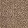 Mohawk Carpet: Tonal Chic II Desert Crackle